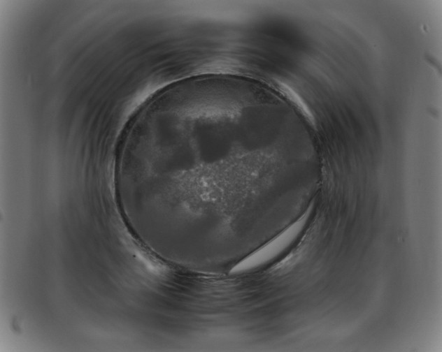 X0000097661035200803071527