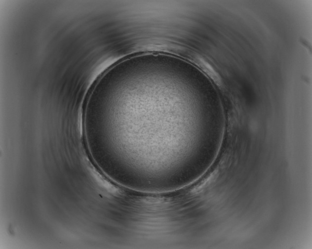 X0000097661036200803071527