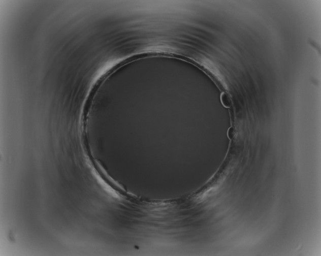 X0000097661037200803071527