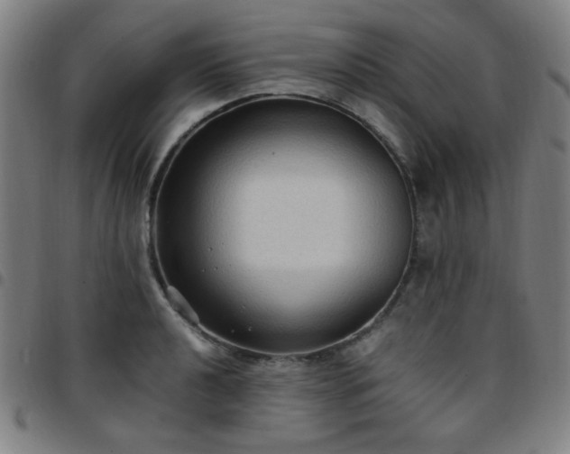 X0000097661040200803071527