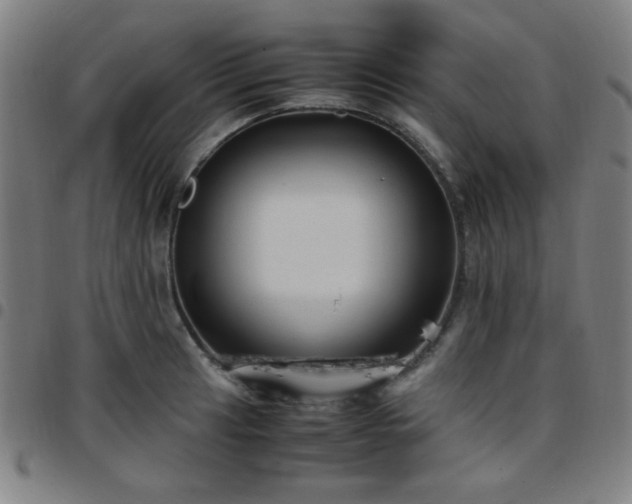 X0000097661041200803071527