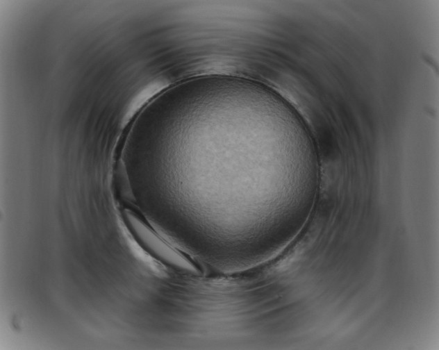 X0000097661042200803071527