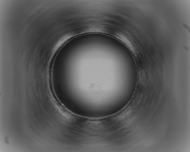 X0000097661043200803071527