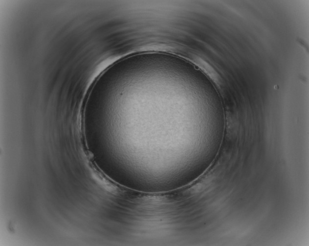 X0000097661044200803071527