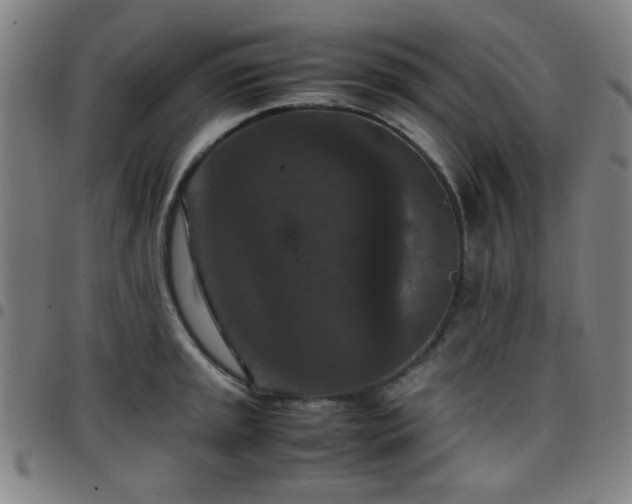X0000097661045200803071527