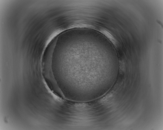 X0000097661046200803071527