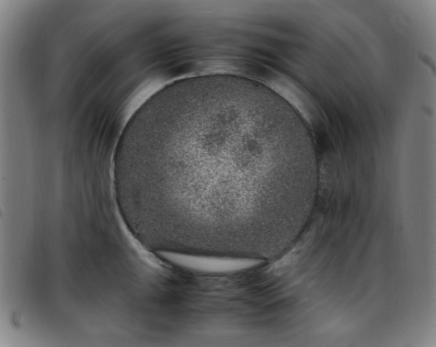 X0000097661047200803071527