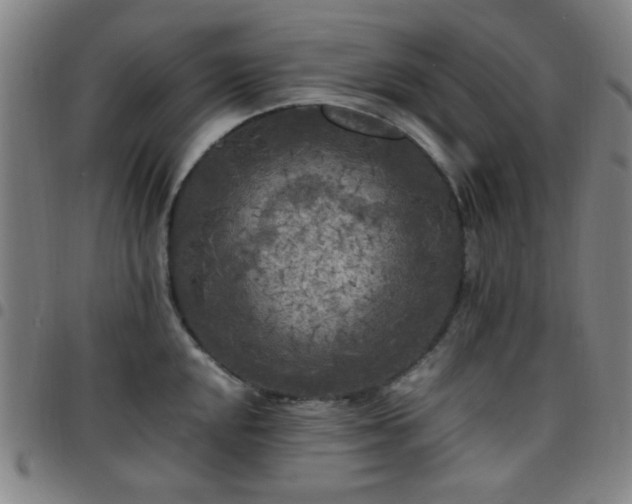 X0000097661048200803071527