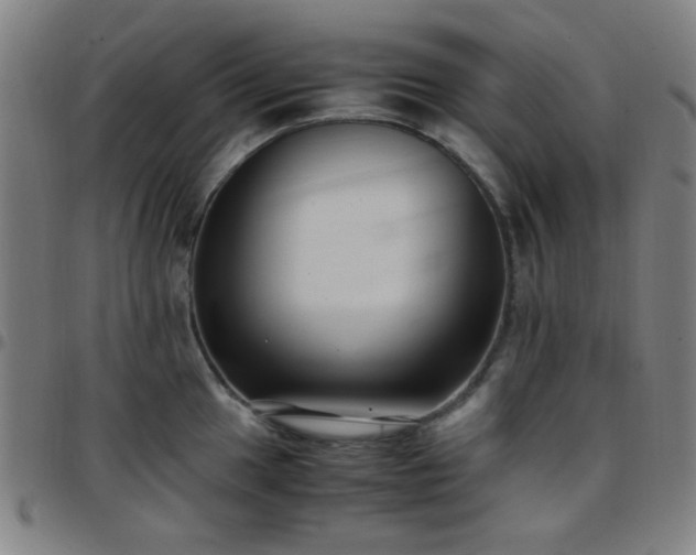 X0000097661049200803071527