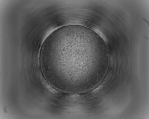 X0000097661052200803071527