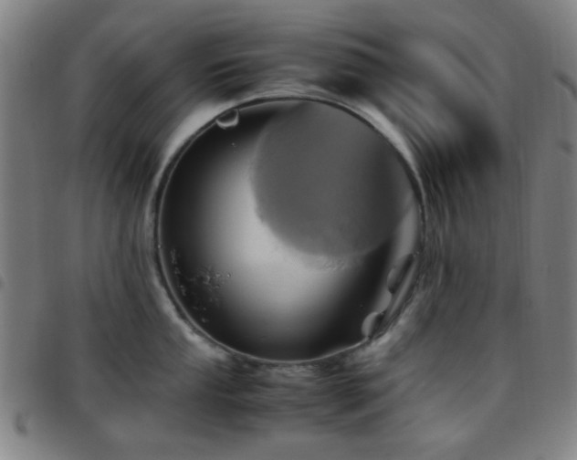 X0000097661053200803071527