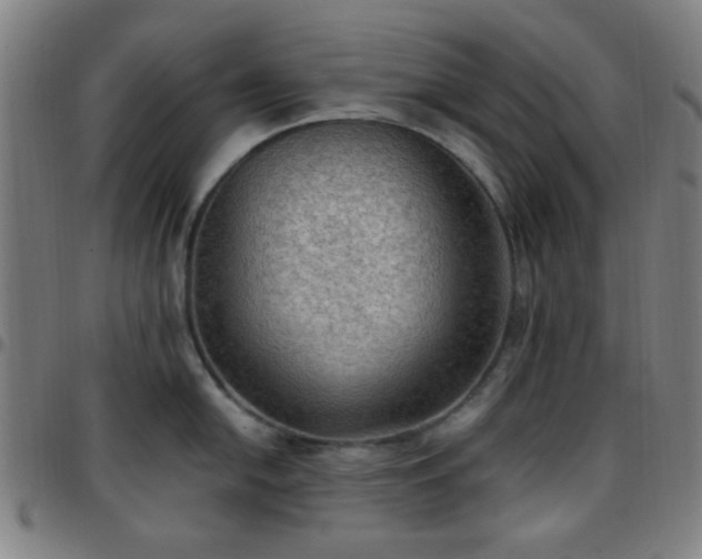 X0000097661054200803071527