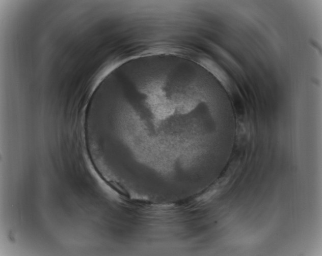 X0000097661055200803071527