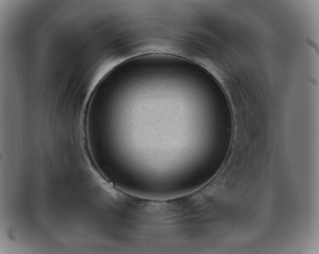 X0000097661056200803071527