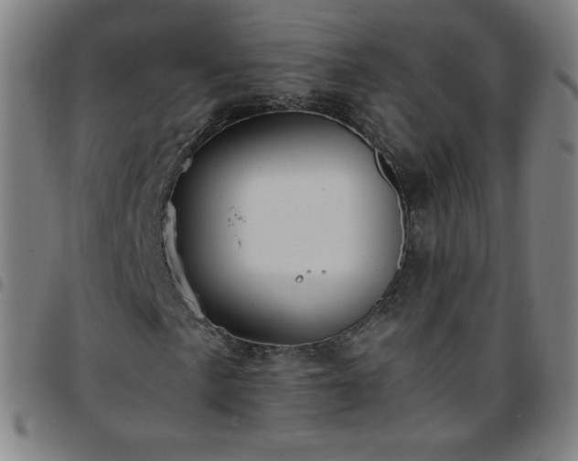 X0000097661057200803071527