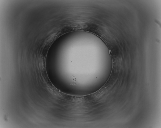 X0000097661058200803071527