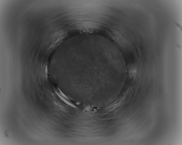 X0000097661060200803071527