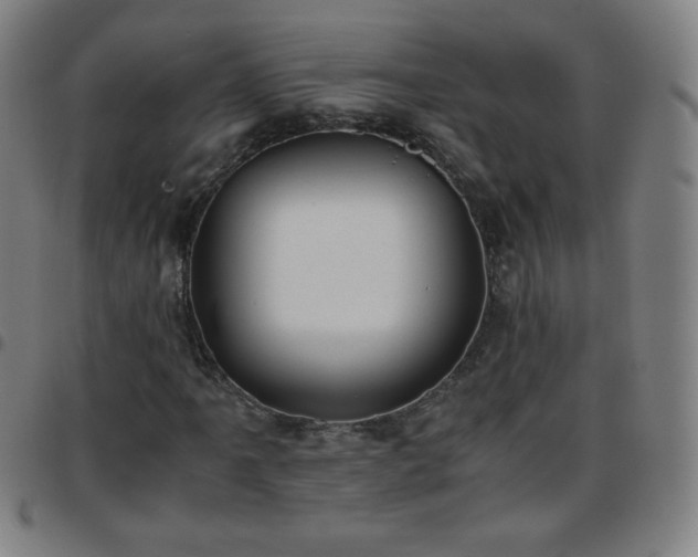 X0000097661061200803071527