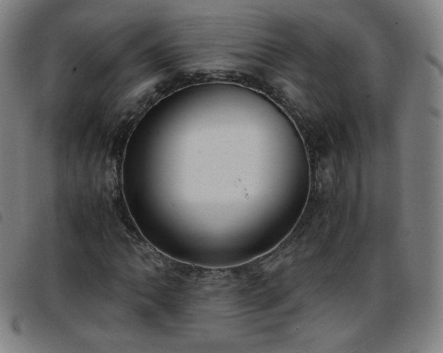 X0000097661062200803071527