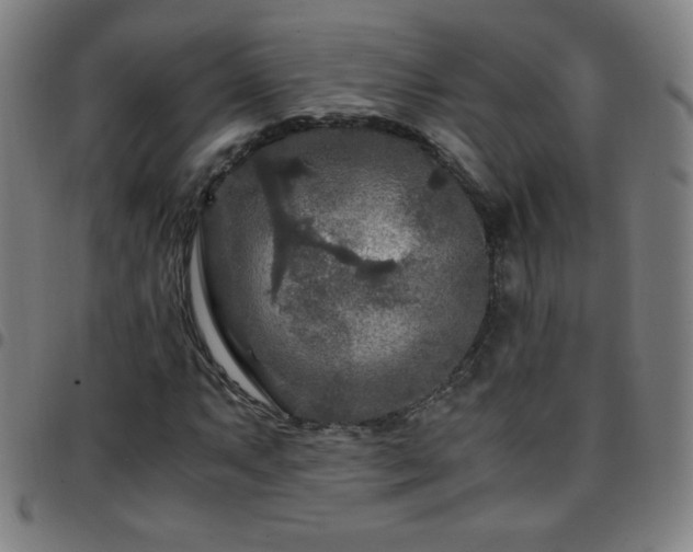 X0000097661063200803071527