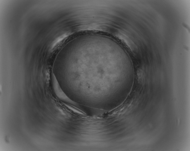 X0000097661064200803071527