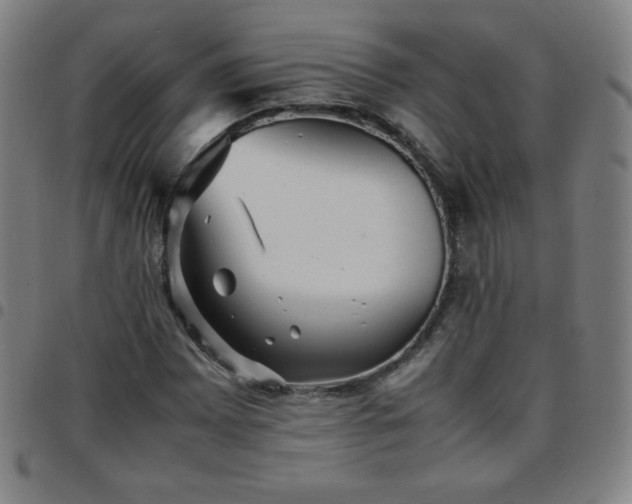 X0000097661065200803071527