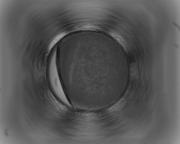 X0000097661066200803071527