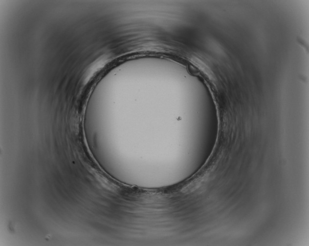 X0000097661067200803071527