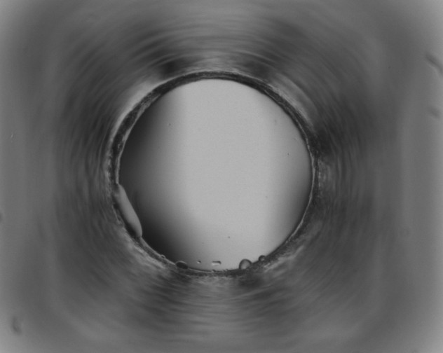 X0000097661068200803071527