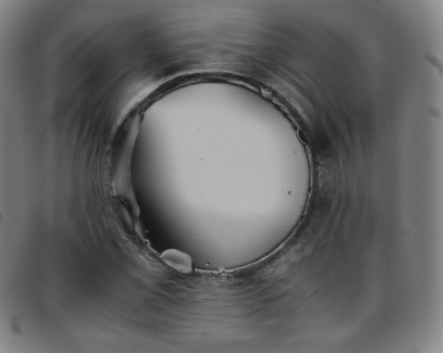 X0000097661069200803071527