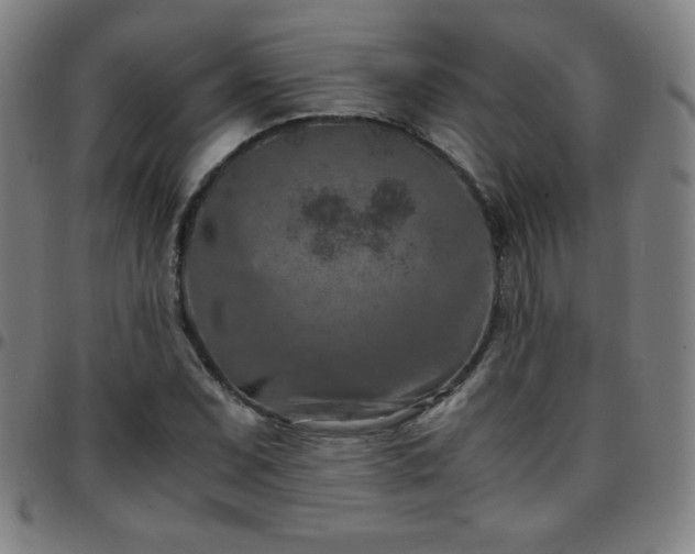 X0000097661071200803071527