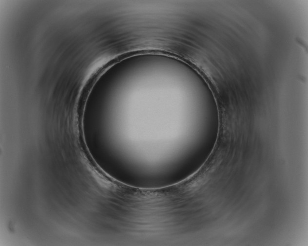 X0000097661072200803071526