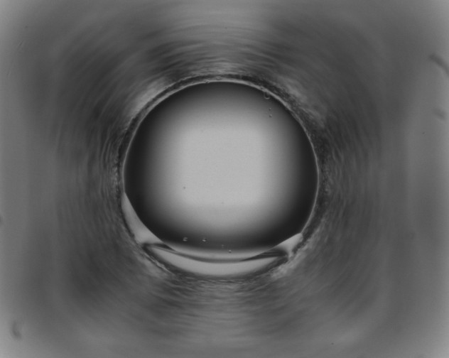 X0000097661073200803071526