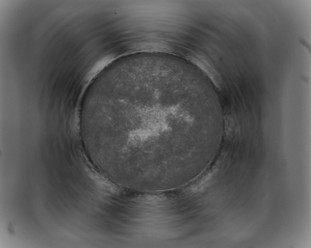 X0000097661074200803071526
