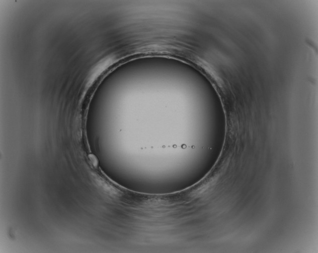 X0000097661075200803071526