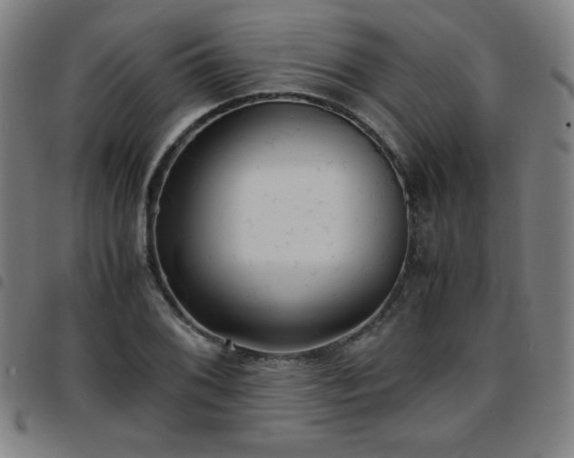 X0000097661076200803071526