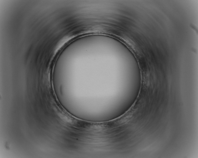 X0000097661078200803071526