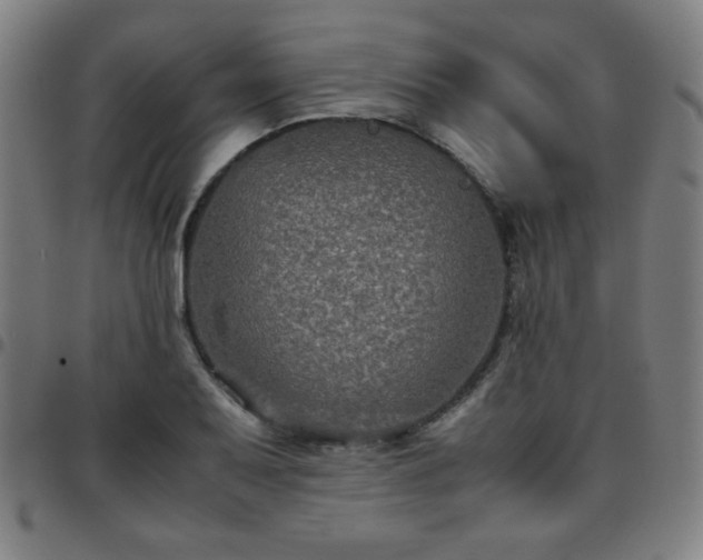 X0000097661079200803071526