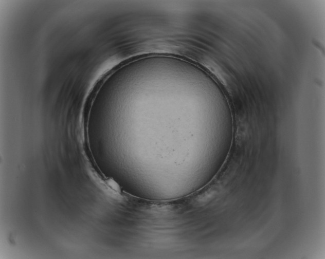 X0000097661080200803071526