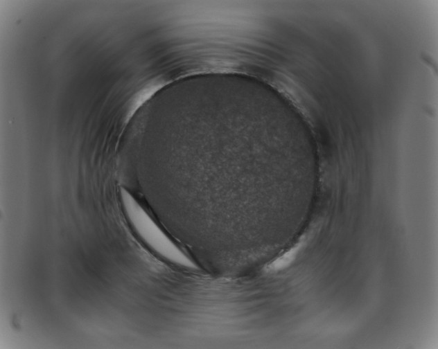 X0000097661081200803071526