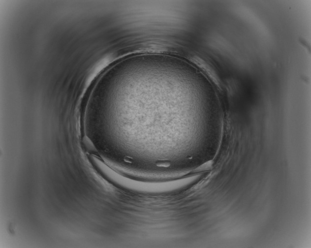 X0000097661083200803071526