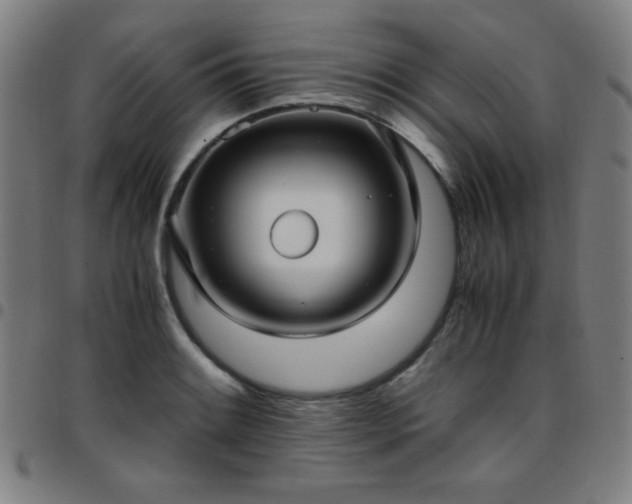 X0000097661084200803071526