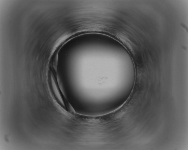 X0000097661085200803071526