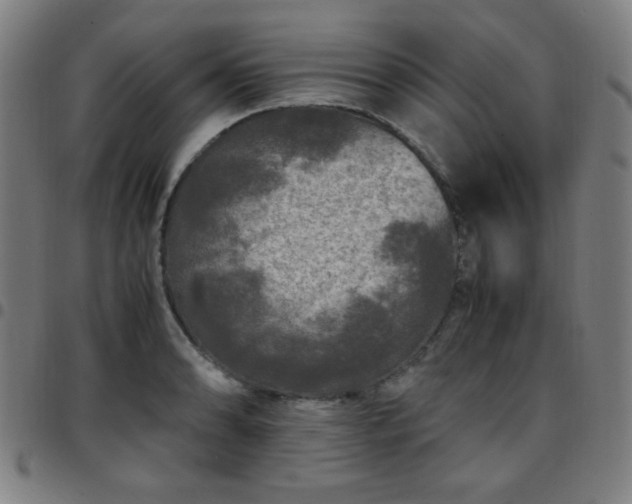 X0000097661086200803071526