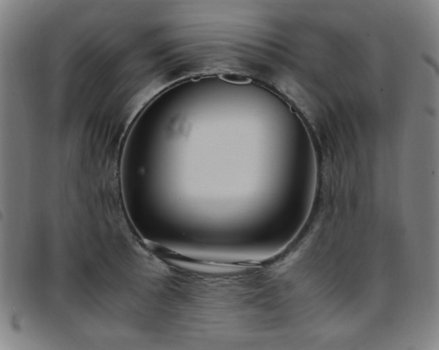 X0000097661089200803071526