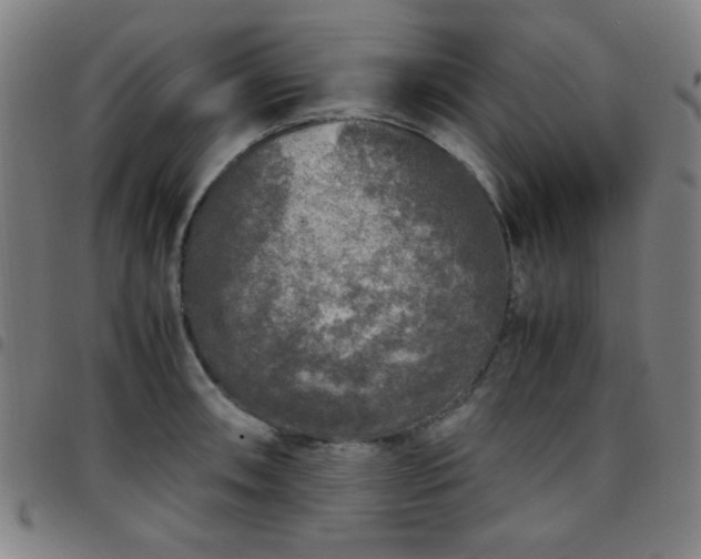 X0000097661090200803071526