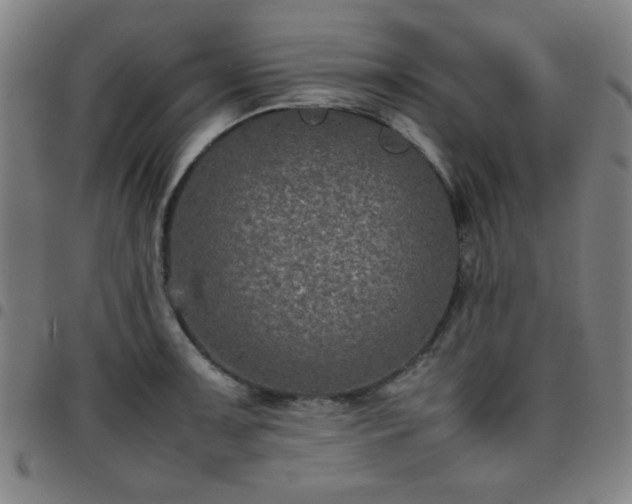X0000097661091200803071526