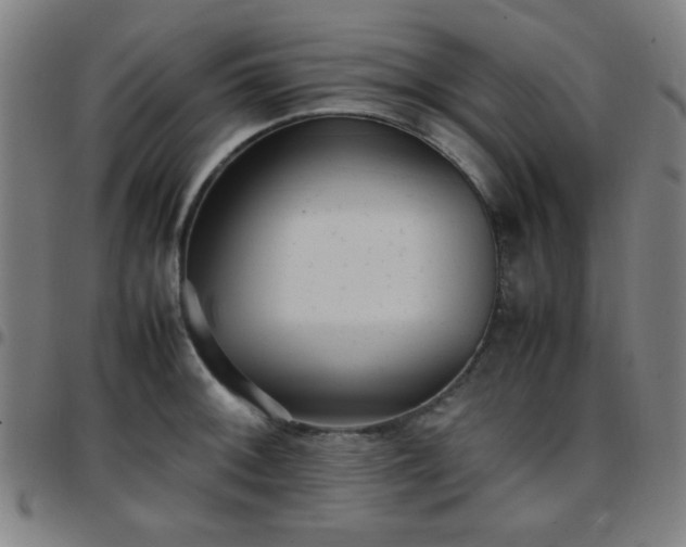 X0000097661092200803071526