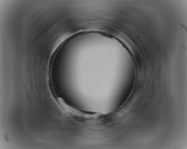 X0000097661093200803071526
