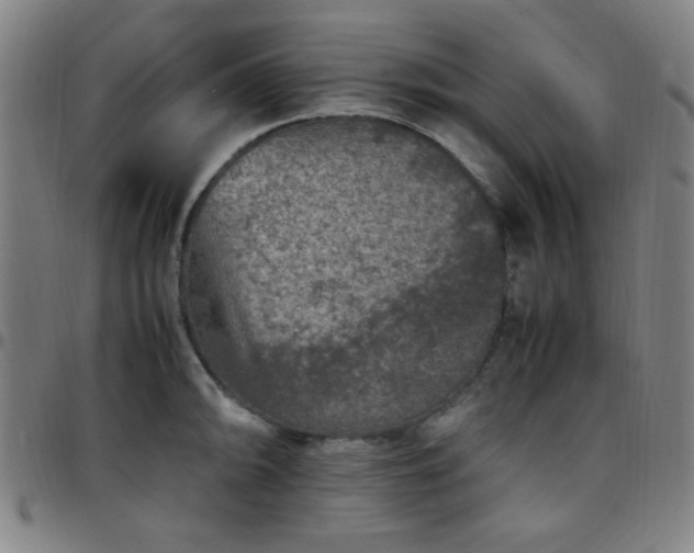 X0000097661094200803071526